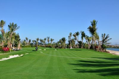 山東順和園林綠化工程簽約建文軟件，攜手推動園林工程信息化進程